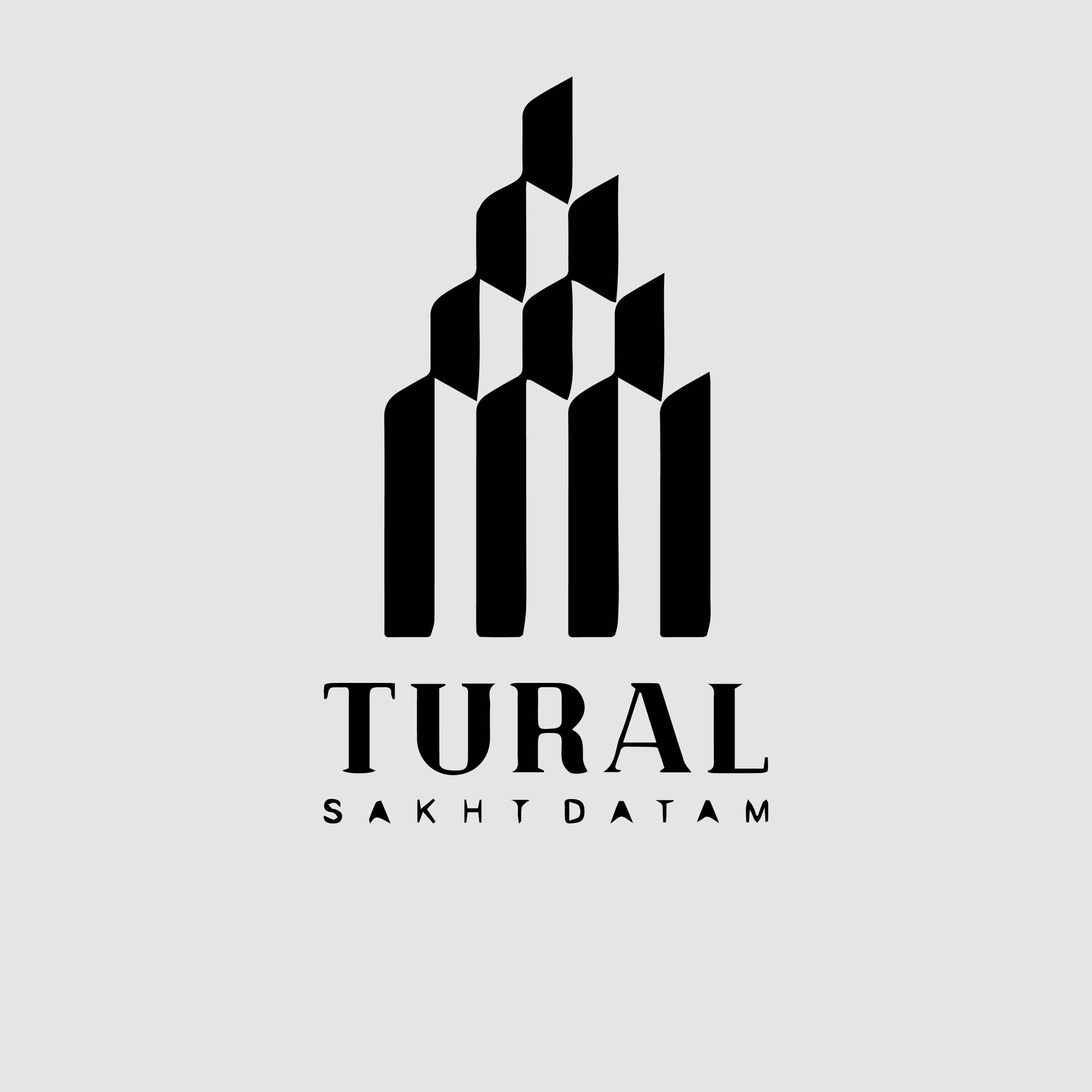 شرکت تورال ساخت داتام